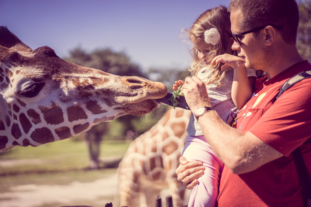 Western Sydney’s $36 million zoo of the future