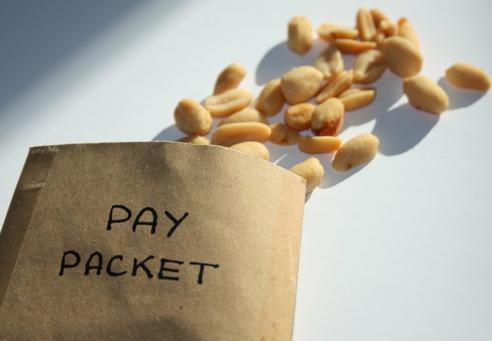 pay peanuts