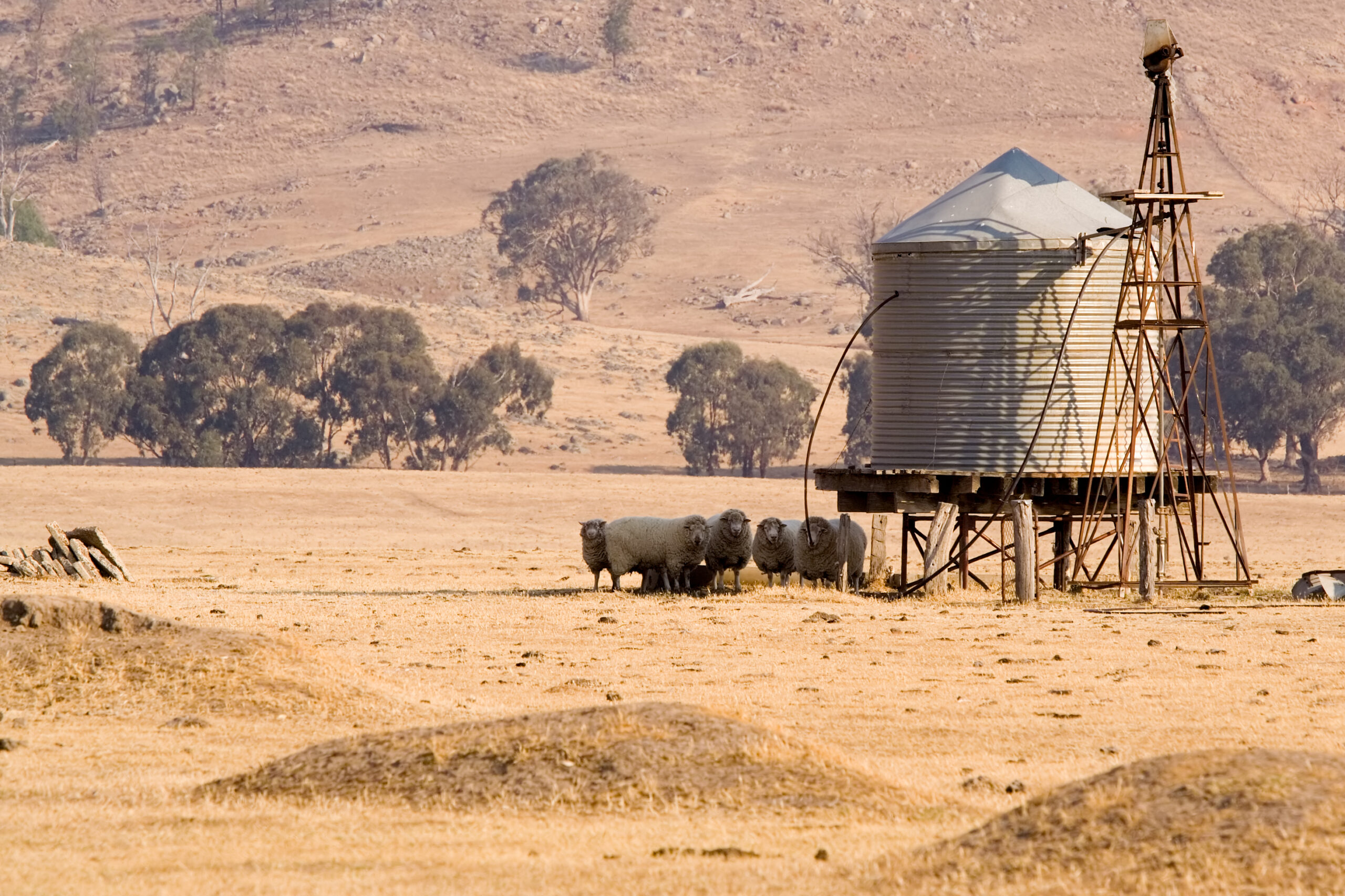 No drought insurance for farmers