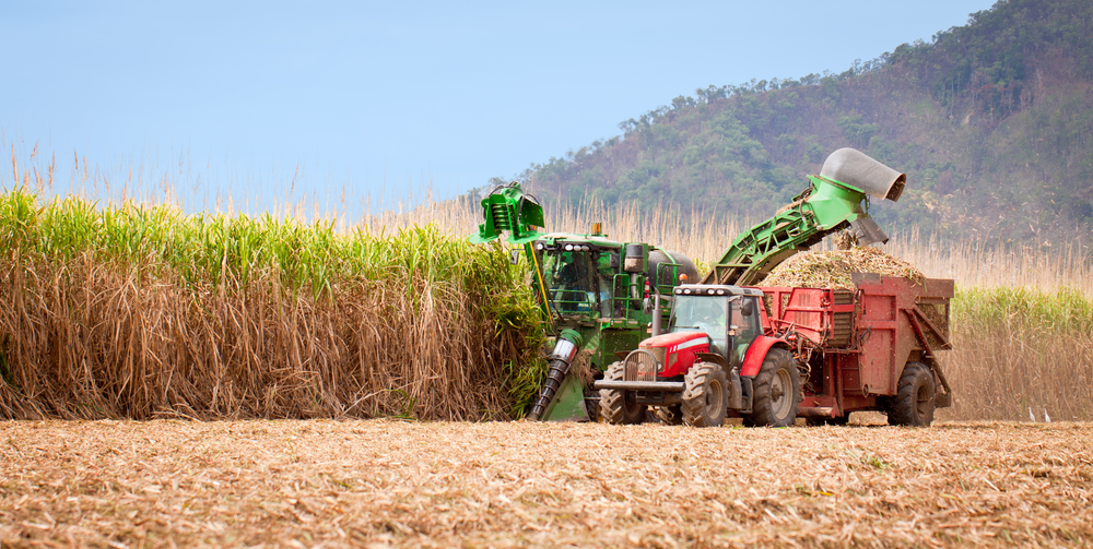 Government announces code of conduct to resolve sugar dispute